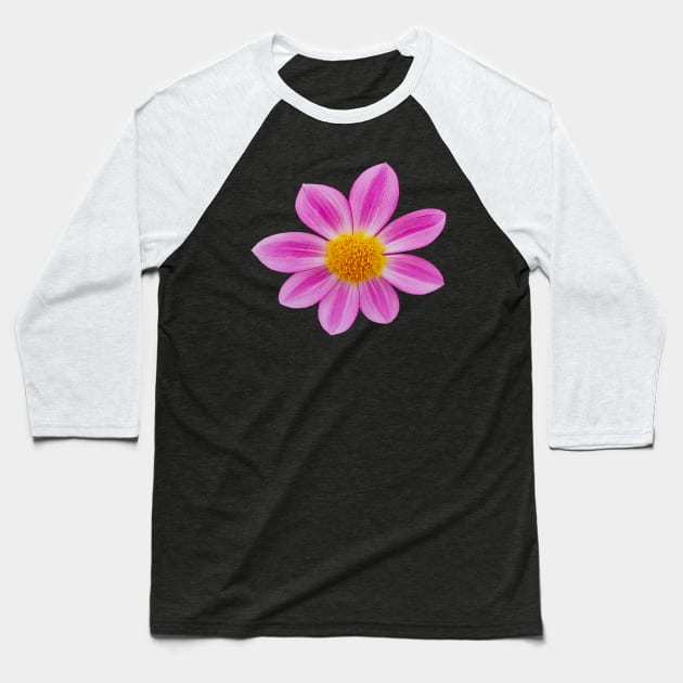 Pink Single Dahlia Flower Baseball T-Shirt by ellenhenryart